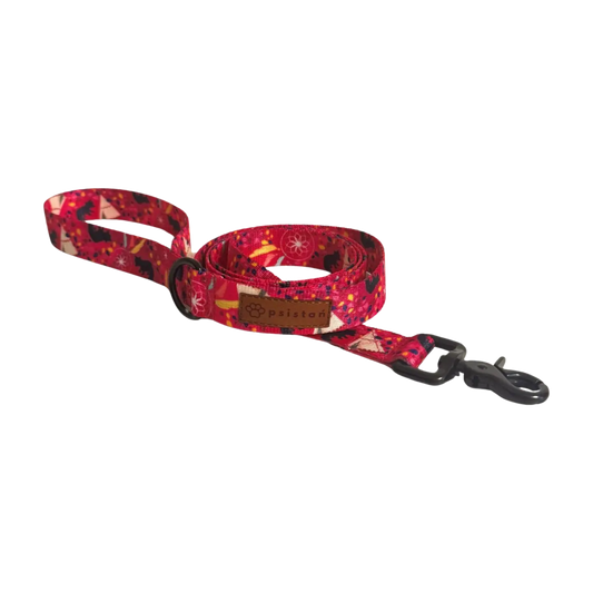 Smycz miejska Pierwotny zew psistań