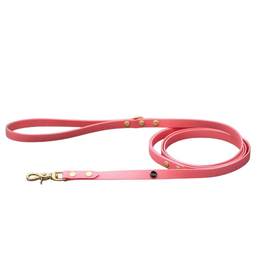 Smycz miejska z Biothane dla psa, koral / Psiutti frutti BURA