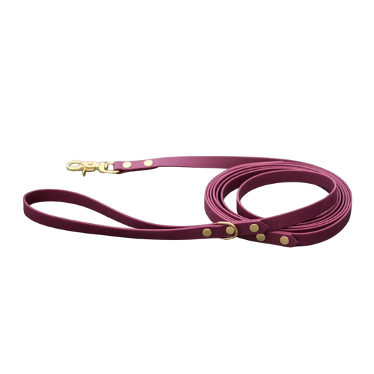 Smycz miejska z Biothane dla psa, bordo / HAU... hot in here BURA