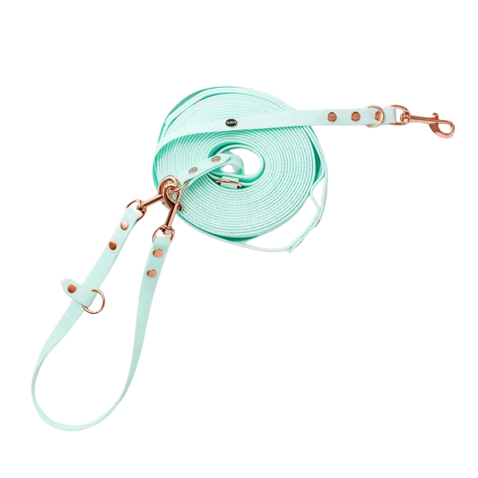 Linka treningowa dla psa z taśmy HEXA, mięta BURA