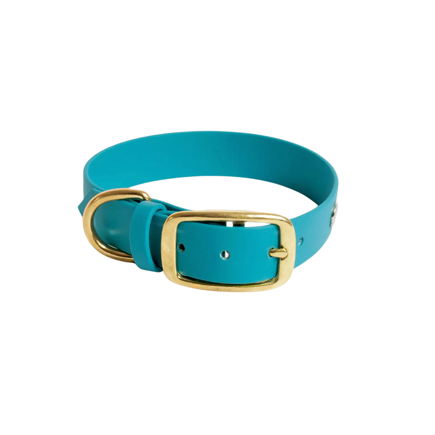 Obroża na sprzączkę dla psa, turkus / wilk MORSKI BURA