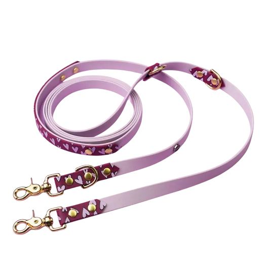 Smycz przepinana multifunkcyjna z Biothane dla psa, Serca / lilia, bordo BURA