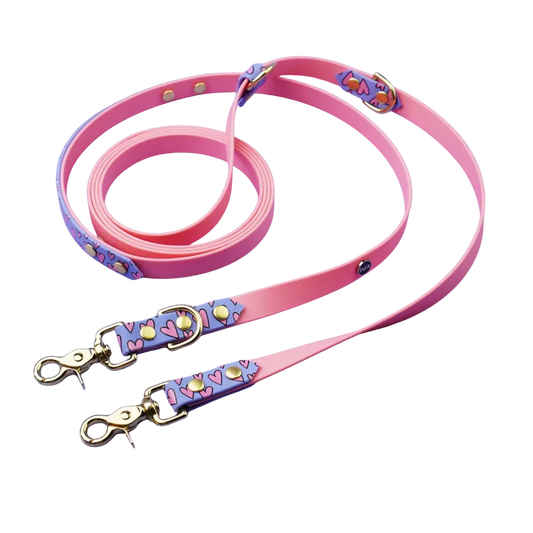 Smycz przepinana multifunkcyjna z Biothane dla psa, Serca / róż, niebiesko-lawendowy BURA