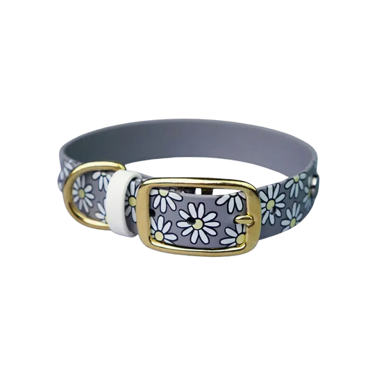 Obroża na sprzączkę dla psa, Stokrotki / szary BURA