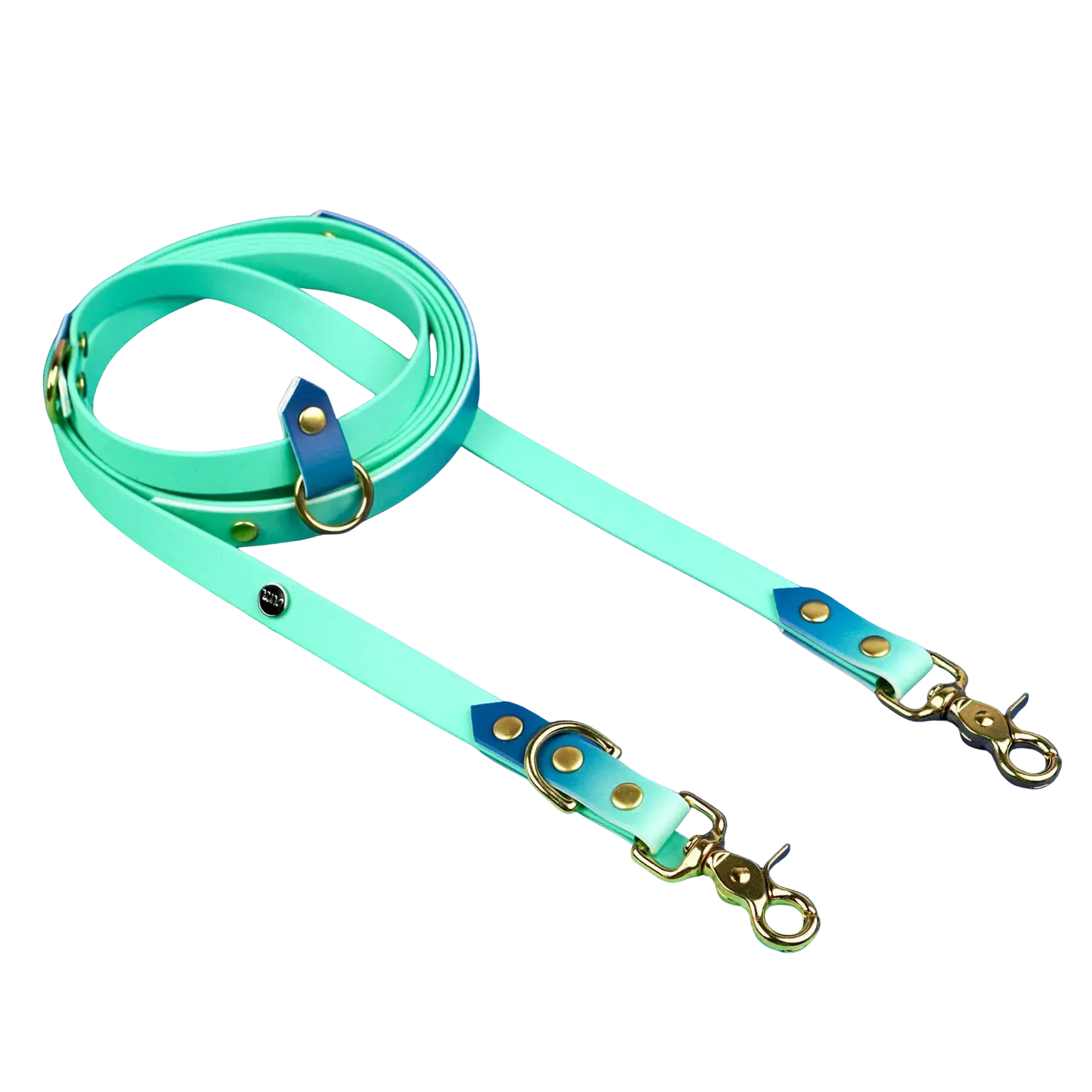 Smycz przepinana multifunkcyjna z Biothane dla psa, Blue Lagoon BURA