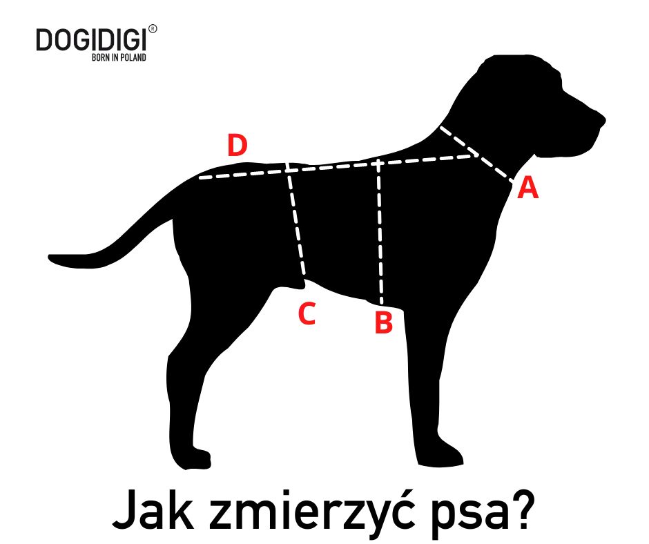 Kurtka dla psa GALAXY DOGIDIGI