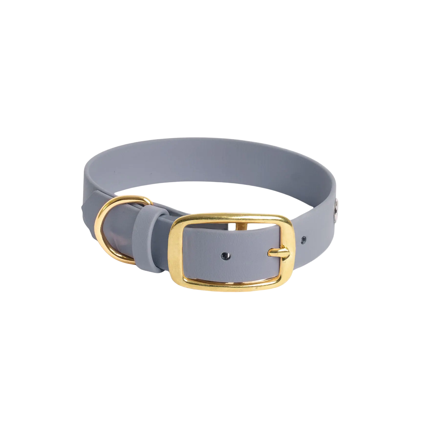 Obroża na sprzączkę dla psa, szary / szaroBURA BURA