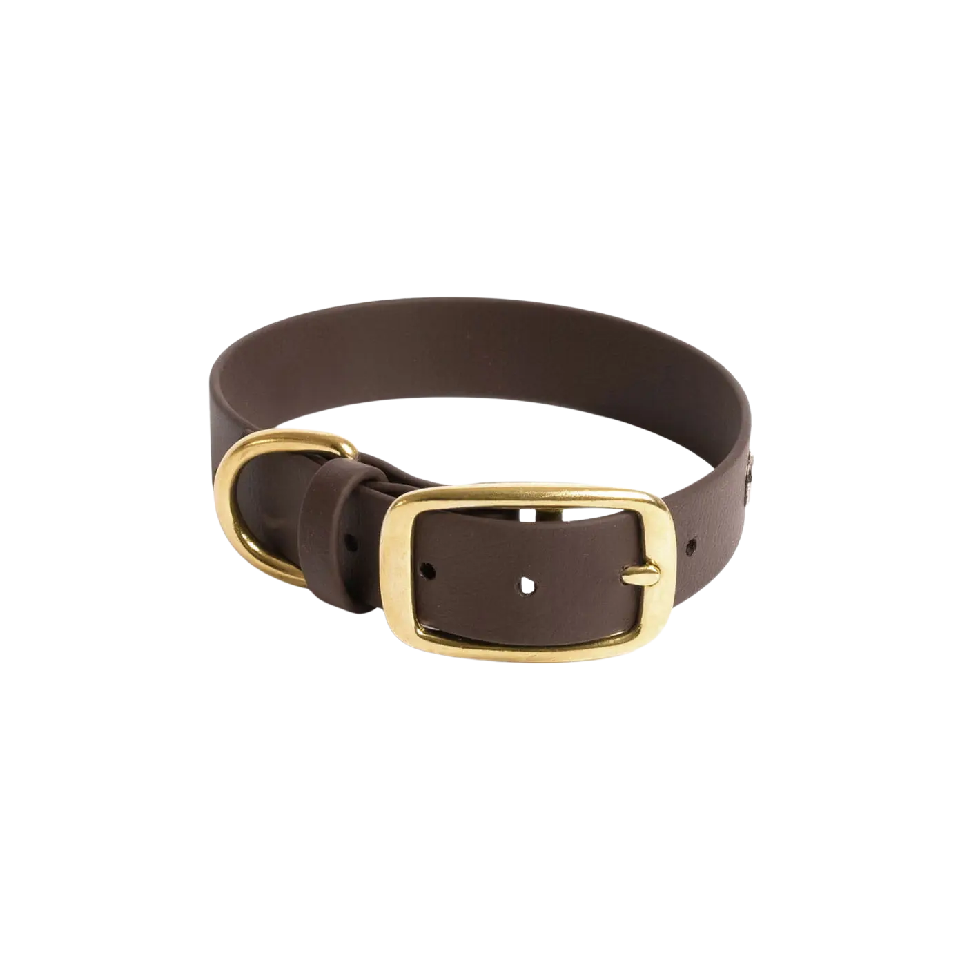 Obroża na sprzączkę dla psa, ciemny brąz / dark chocolate... HAU good! BURA