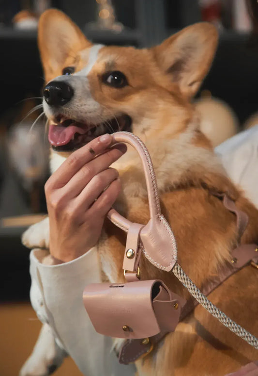 Etui na woreczki "Classy" w kolorze bladoróżowym