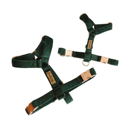 Szelki typu guard ciemnozielone Psotnik