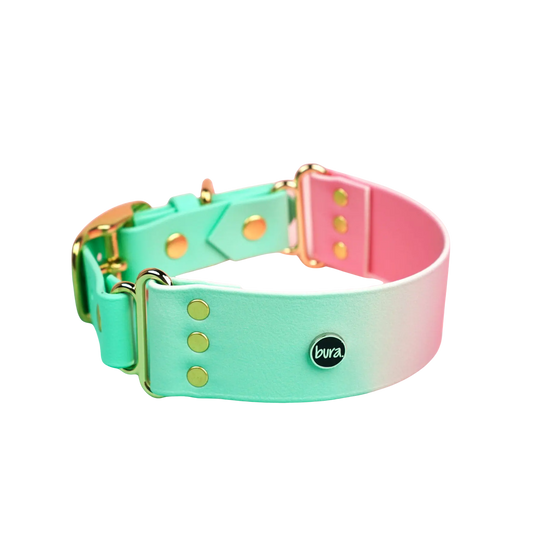 Szeroka obroża na sprzączkę, Strawberry Matcha BURA