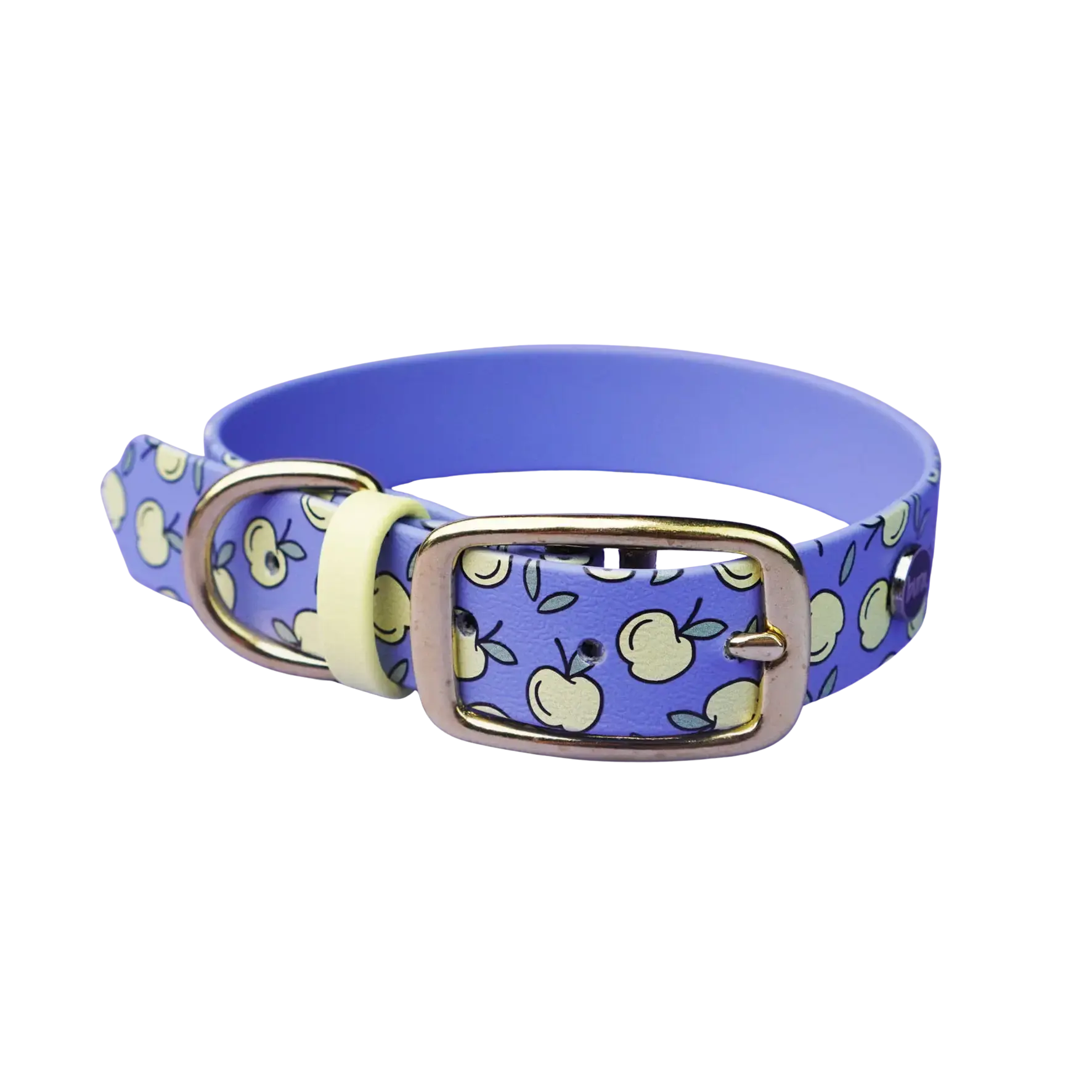Obroża na sprzączkę dla psa, Jabłuszka / niebiesko-lawendowy BURA