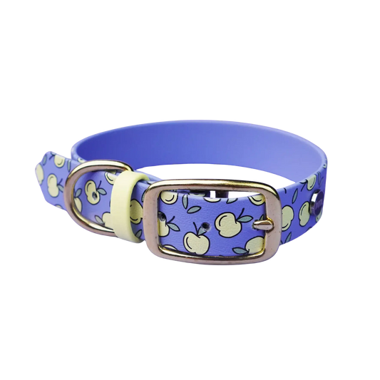 Obroża na sprzączkę dla psa, Jabłuszka / niebiesko-lawendowy BURA