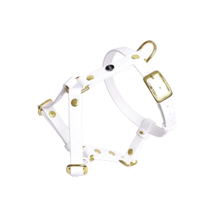 Szelki guard dla psa z Biothane (produkt personalizowany) BURA