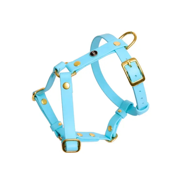 Szelki guard dla psa z Biothane (produkt personalizowany) BURA