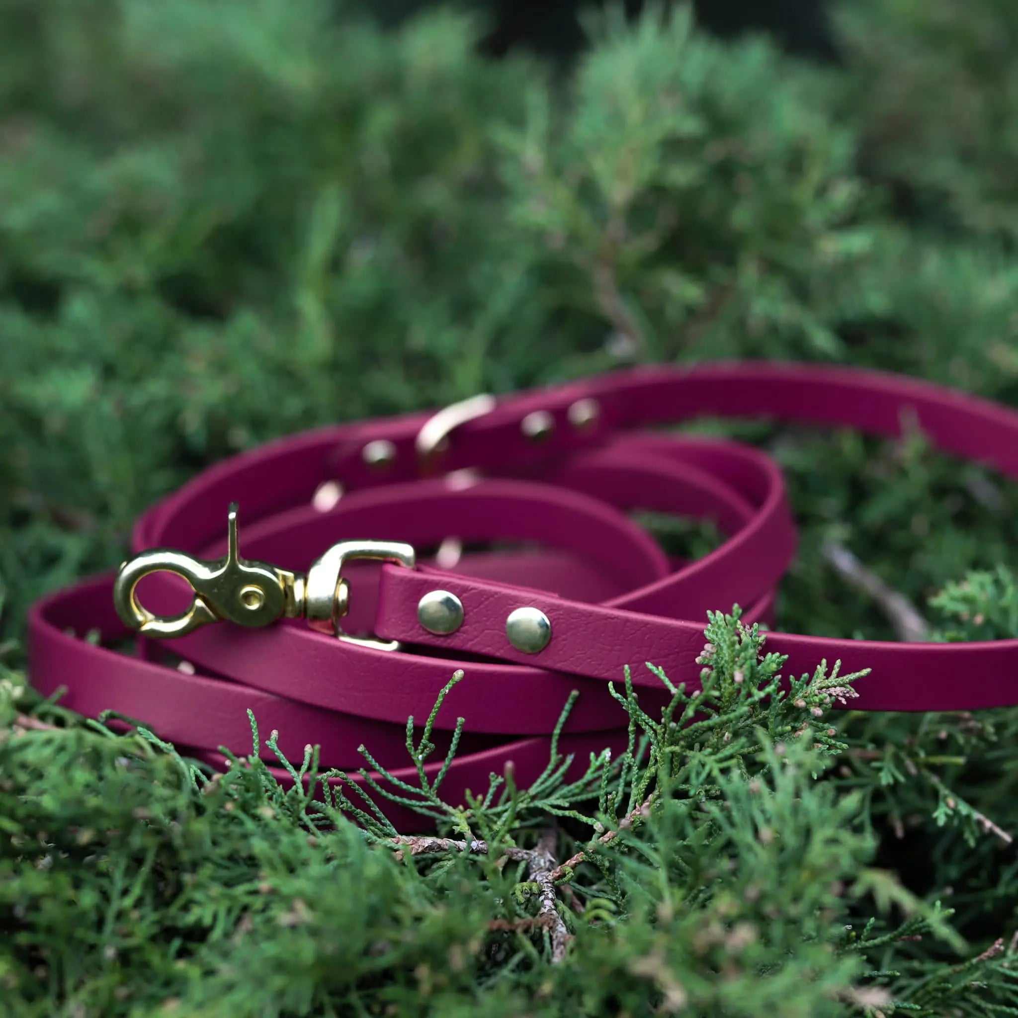 Smycz BioThane Wine Red Co Collar