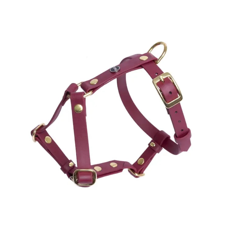 Szelki guard dla psa z Biothane (produkt personalizowany) BURA