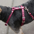 Załaduj obraz do przeglądarki galerii, Szelki guard dla psa z Biothane (produkt personalizowany) BURA
