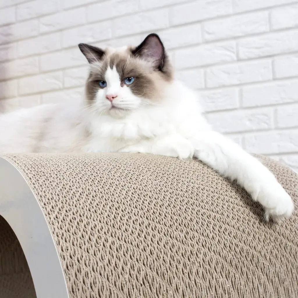 Drapak dla kota Bench White House of Cats