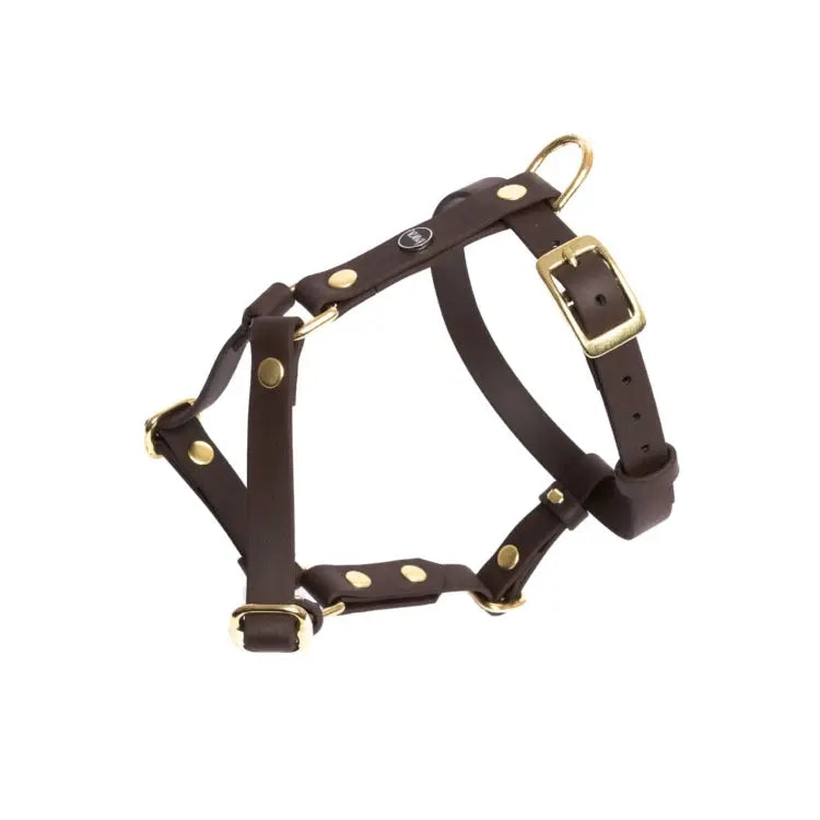 Szelki guard dla psa z Biothane (produkt personalizowany) BURA