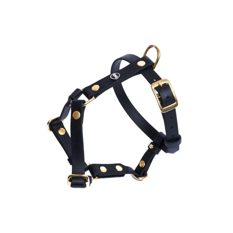 Szelki guard dla psa z Biothane (produkt personalizowany) BURA