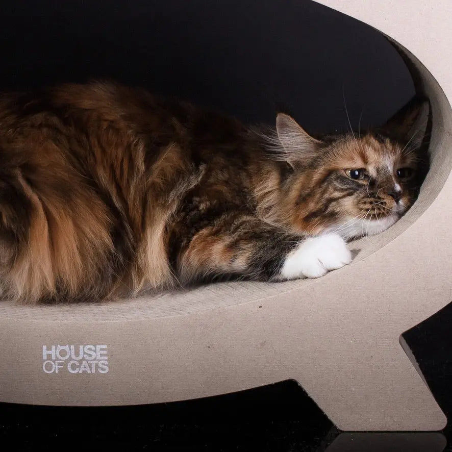 Drapak dla kota Elipso Eco House of Cats