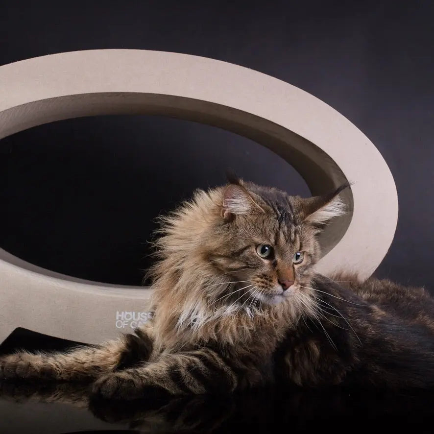 Drapak dla kota Elipso Eco House of Cats