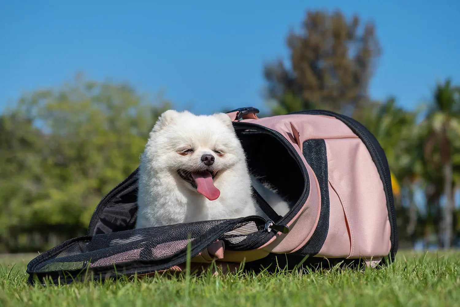 Ibiyaya Plecak Ultralight PRO Coral Pink Ibiyaya