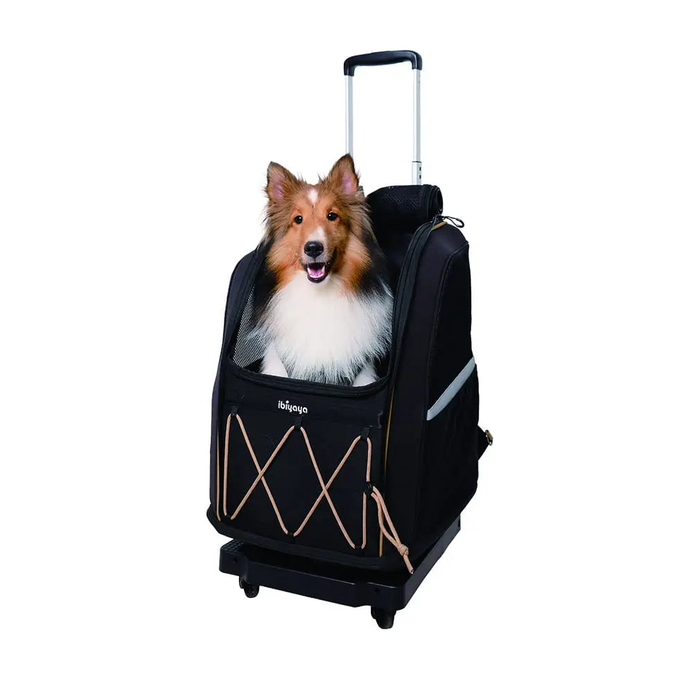 Ibiyaya Stelaż na kółkach do plecaka Champion i Panorama Ibiyaya