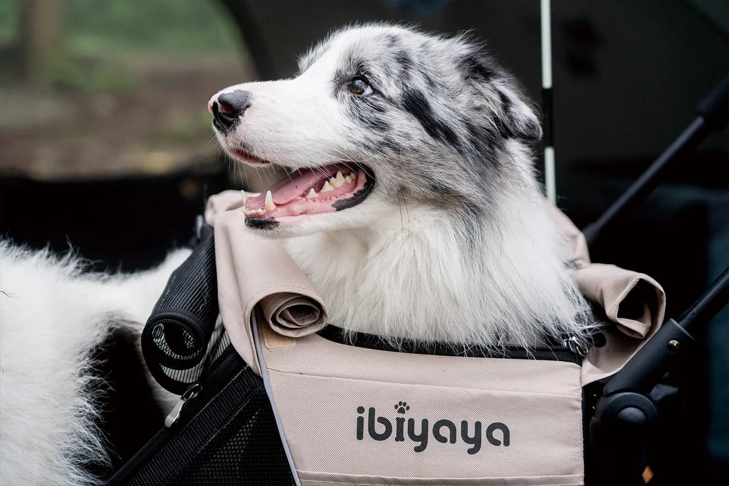 Ibiyaya Wózek 3w1 Minika Ibiyaya