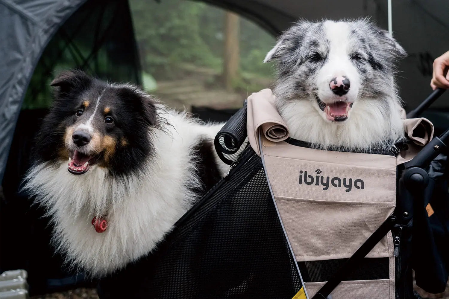 Ibiyaya Wózek 3w1 Minika Ibiyaya