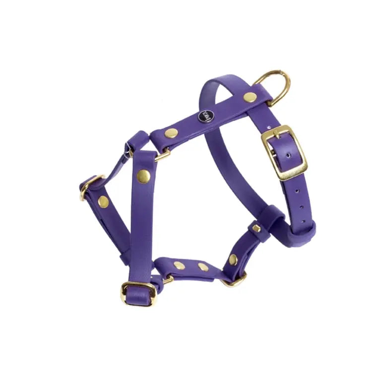 Szelki guard dla psa z Biothane (produkt personalizowany) BURA