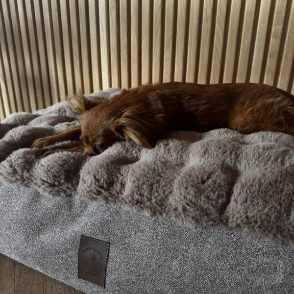 Legowisko Bubble psykryj mnie