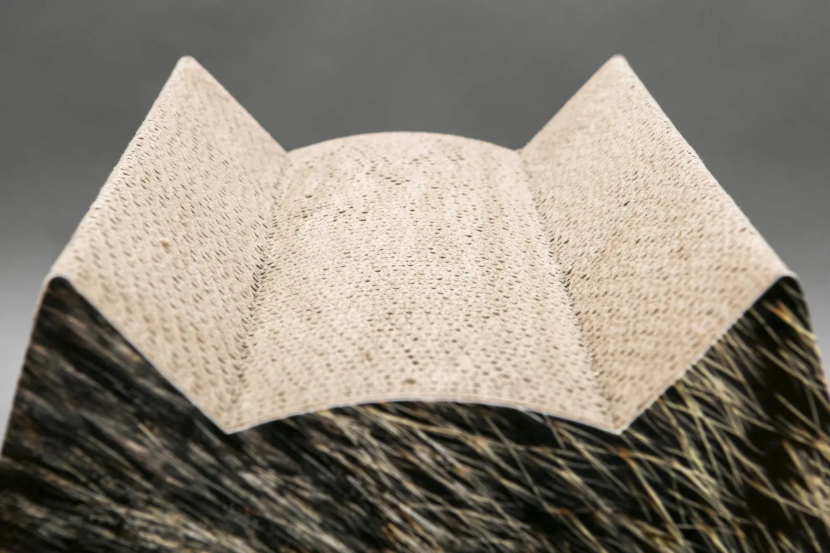 Drapak dla kota Cat Hair House of Cats