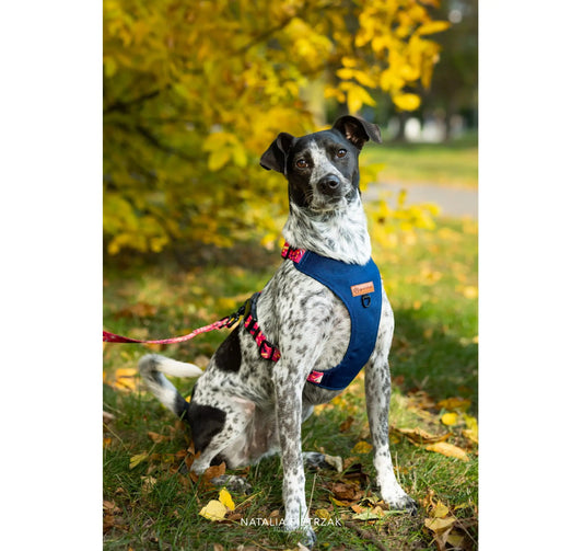 Szelki bezuciskowe Pierwotny zew psistań