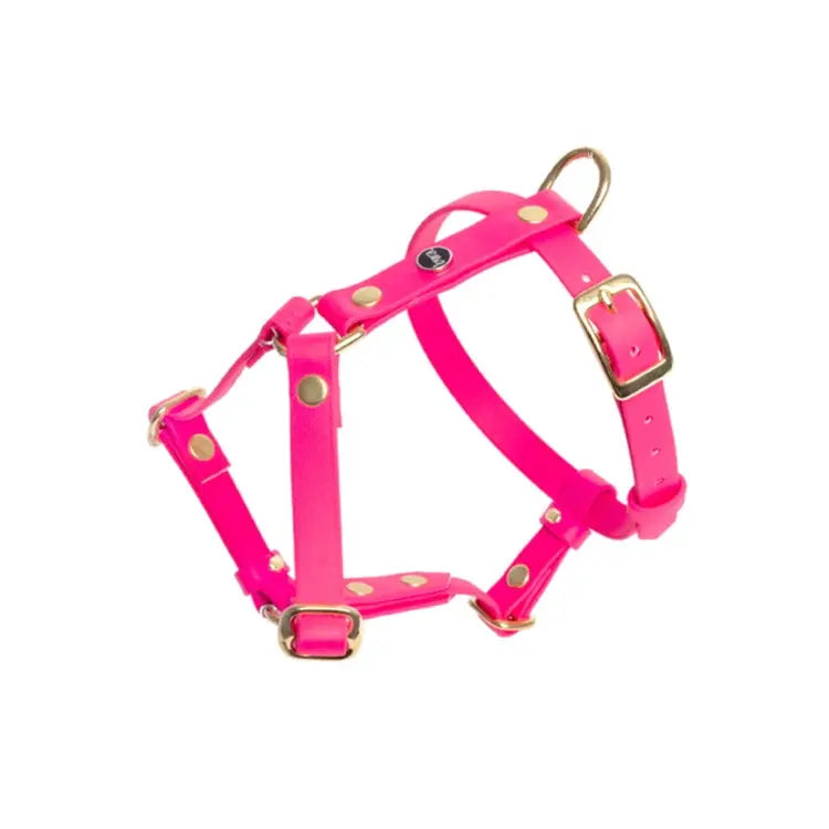 Szelki guard dla psa z Biothane (produkt personalizowany) BURA