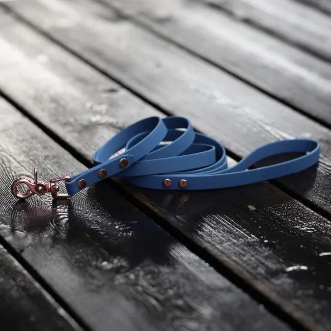 Smycz BioThane Pigeon Blue Co Collar