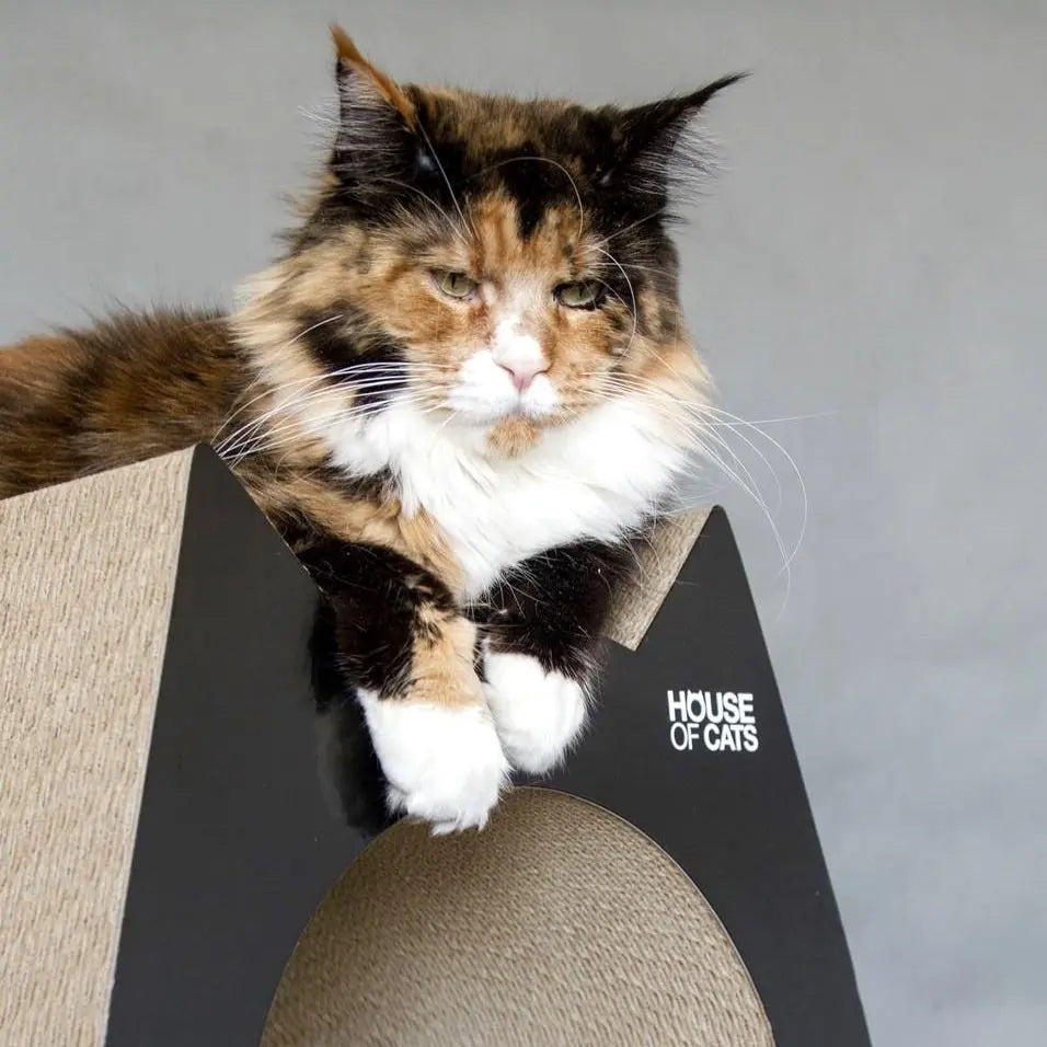 Drapak dla kota Cat Black House of Cats