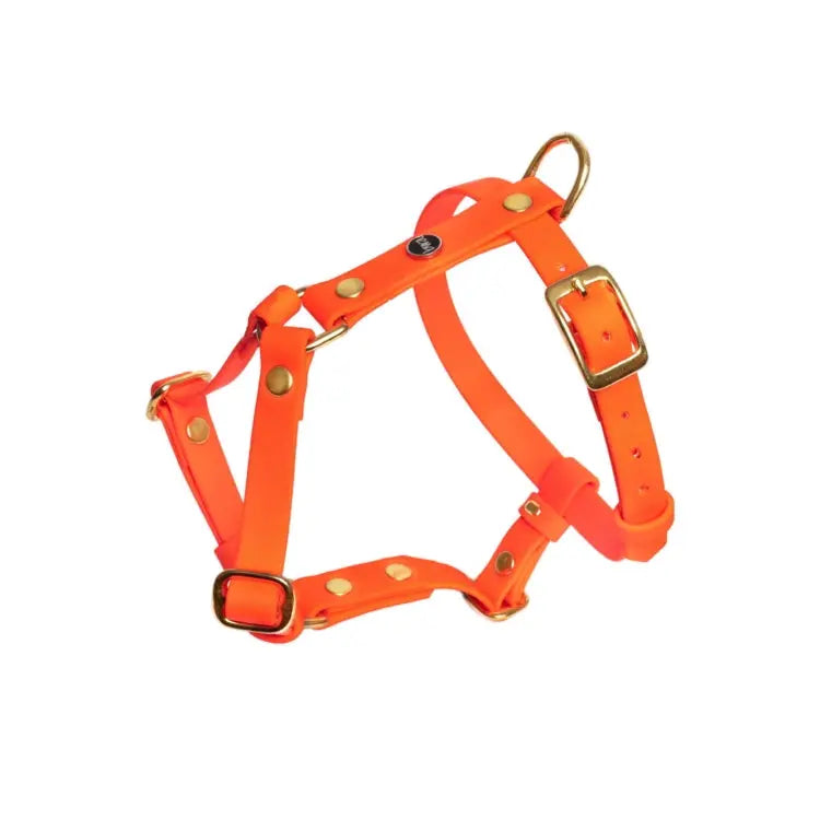 Szelki guard dla psa z Biothane (produkt personalizowany) BURA