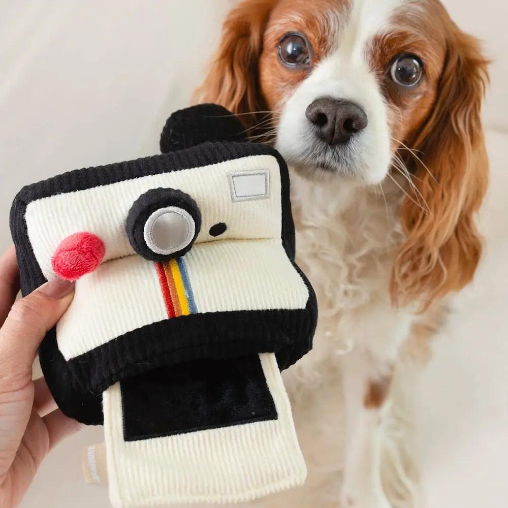 Zabawka węchowa aparat Ibiyaya