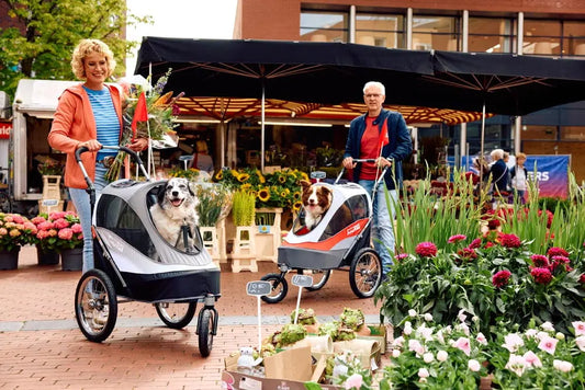 Innopet Wózek do roweru dla psa Sporty Dog Trailer Deluxe Czarny/Szary Innopet