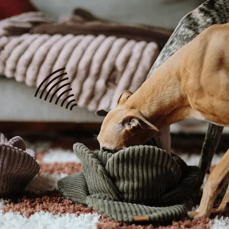 Zabawka węchowa Kapusta psykryj mnie