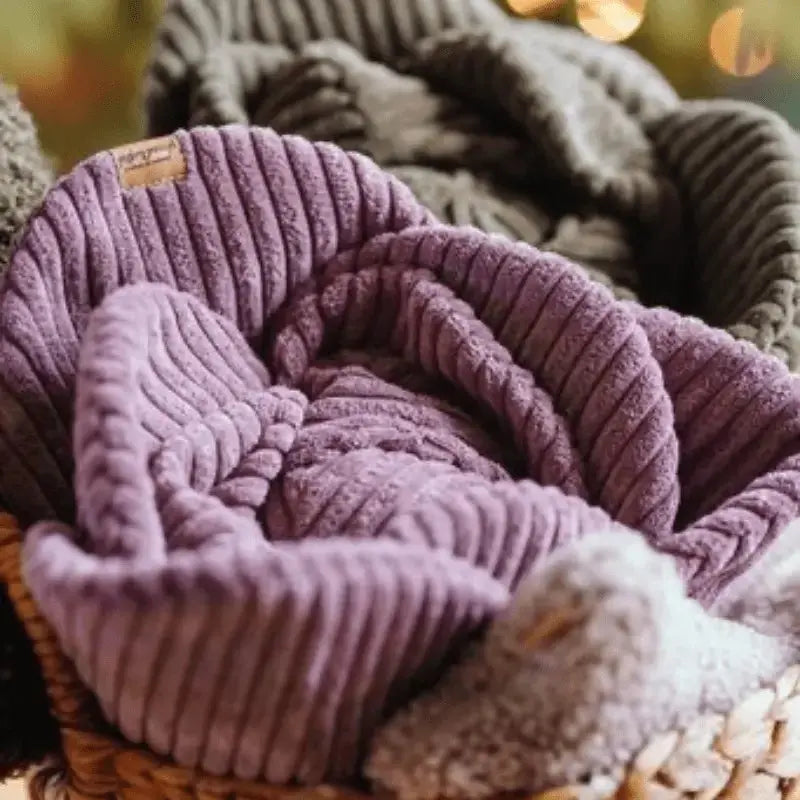 Zabawka węchowa Kapusta psykryj mnie