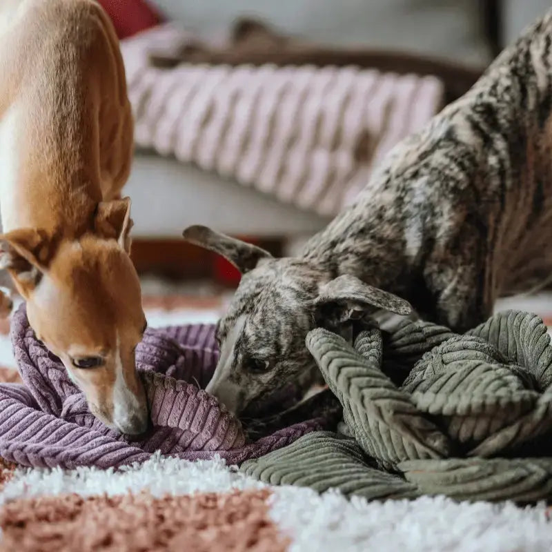 Zabawka węchowa Kapusta psykryj mnie