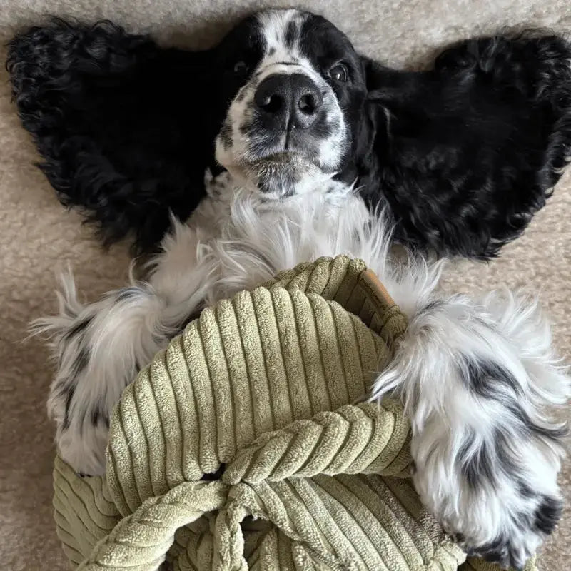 Zabawka węchowa Kapusta psykryj mnie