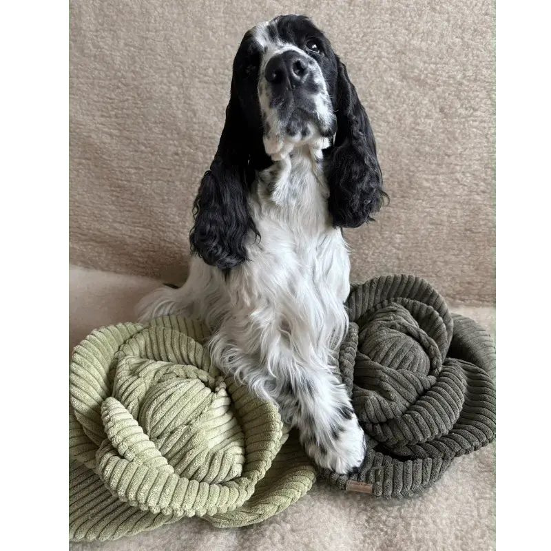 Zabawka węchowa Kapusta psykryj mnie