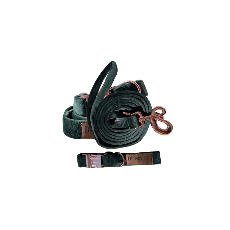 Zestaw obroża + smycz dla psa kolory do wyboru DOGIDIGI