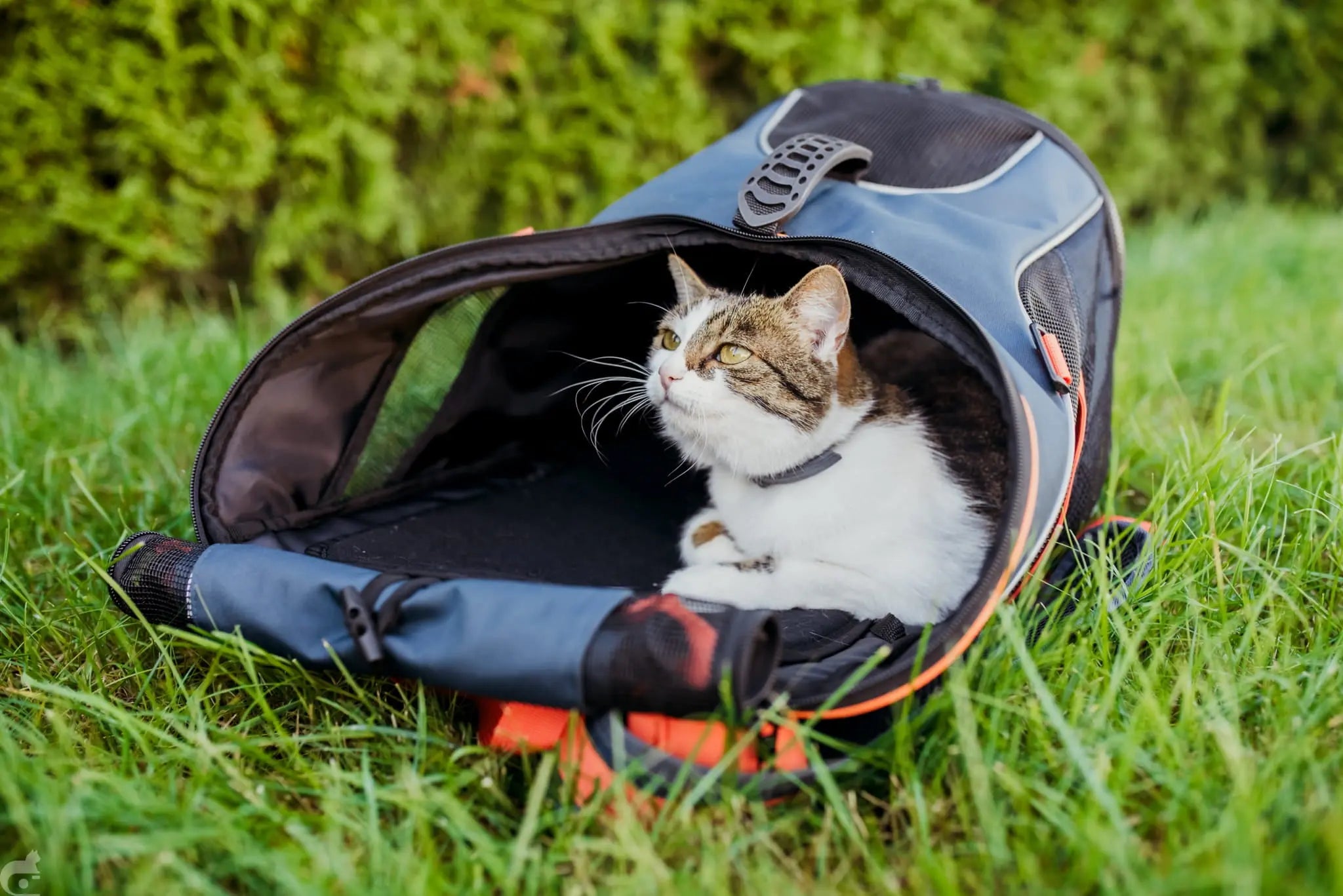 Ibiyaya Plecak Ultralight PRO Granatowy Ibiyaya