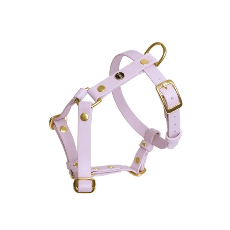 Szelki guard dla psa z Biothane (produkt personalizowany) BURA