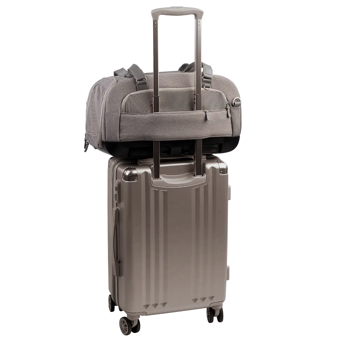 Tavo Transporter do samolotu i samochodu dla psa i kota Dupree II Merle Tavo